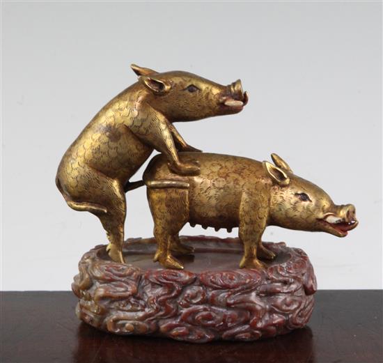 A Chinese gilt bronze model of two boars, 13.5cm